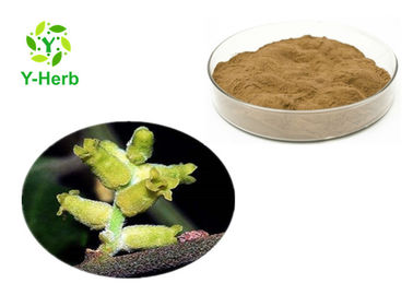 Natural 10:1 50:1 100:1 Pure Bulk Miswak Extract Powdered Salvadora Persica Extract