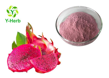 Spray Drying Dragon Fruit Powder Fruit Juice Concentrate Vietnam Pitahaya Extract
