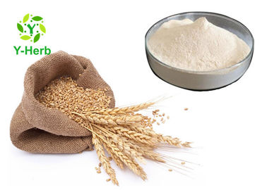 Instant Natural Stable Wheat Protein Short Peptide Oligopeptides Powder