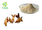 Bulk Alcalase Food Grade Alkaline Protease Enzyme Powder For Protein Degradation